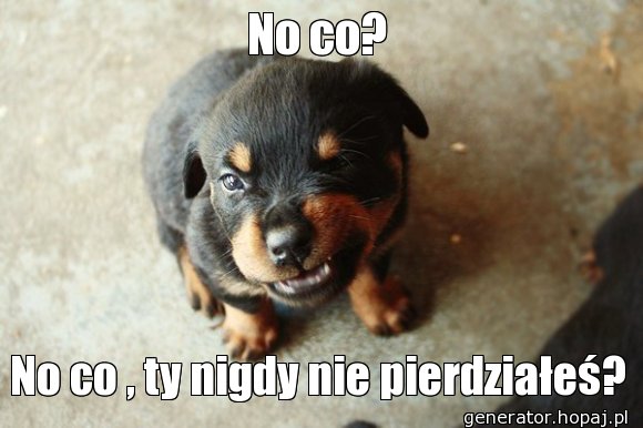 No co?