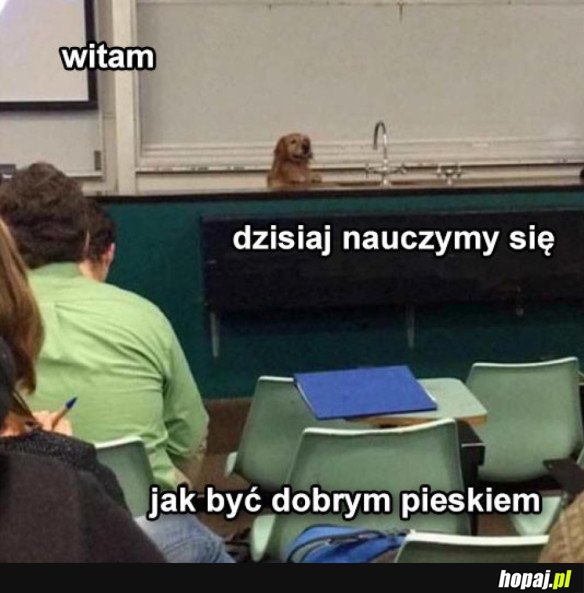 WITAM SERDECZNIE