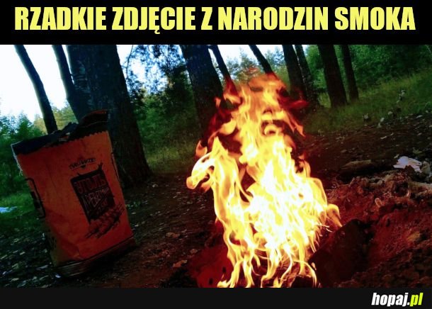 Smoczuś