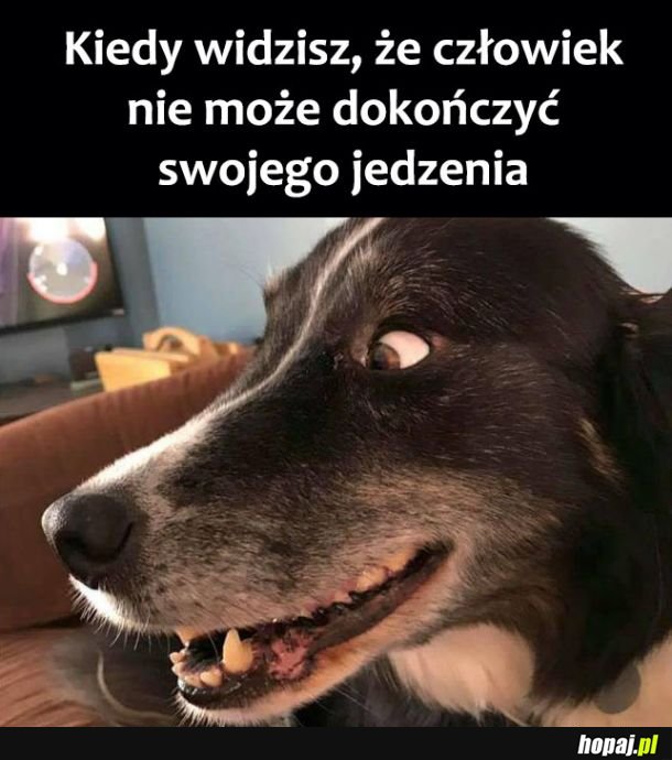 Już lecę