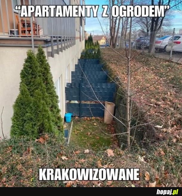 W Gdańsku też takie widziałam