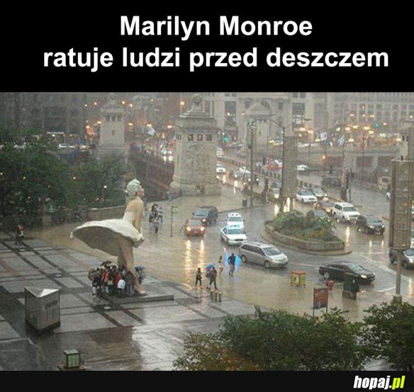 DOBRY ZIOMEK MARILYN MONROE