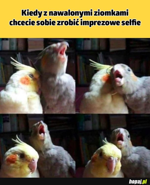 Imprezowe selfie