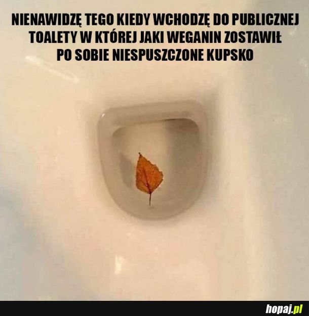 Nienawidzę tego