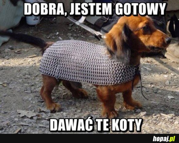 JESTEM GOTOWY