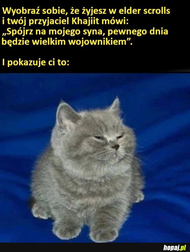 Piękny przyszły wojownik