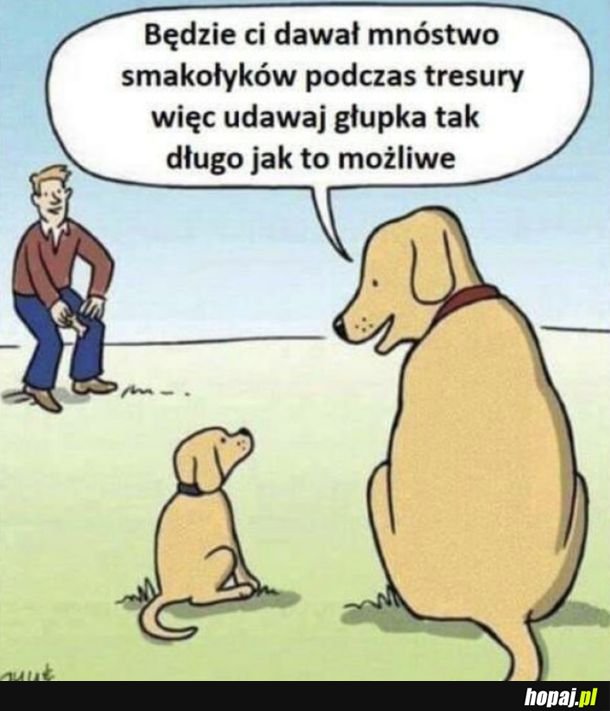 A więc to tak