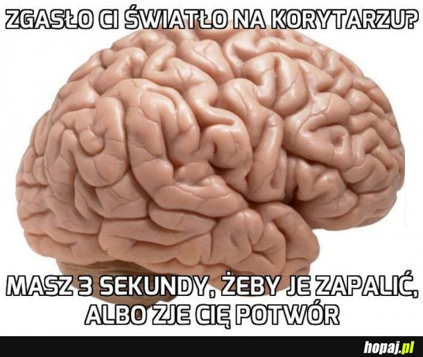 MÓZG I CIEMNOŚĆ