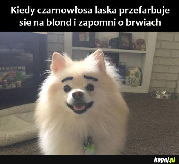 Tak to wygląda