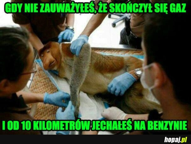 JANUSZ