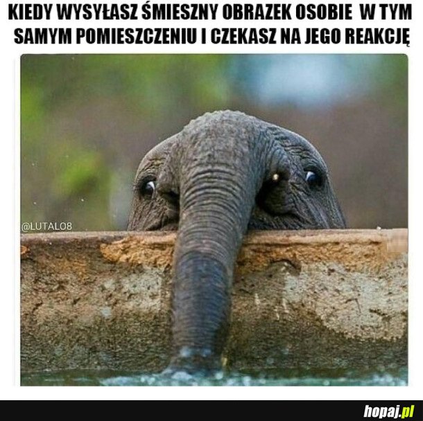 KIEDY WYSYŁASZ KOMUŚ ŚMIESZNY OBRAZEK