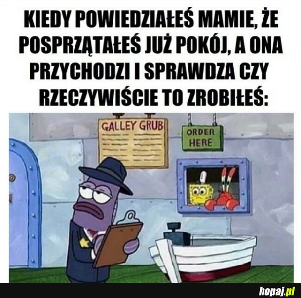 Sprzątanko.