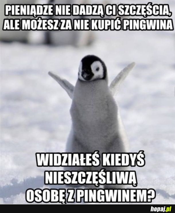 PIENIĄDZE SZCZĘŚCIA NIE DAJĄ