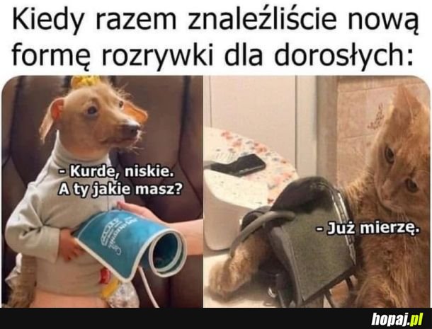 Rozrywka dla dorosłych