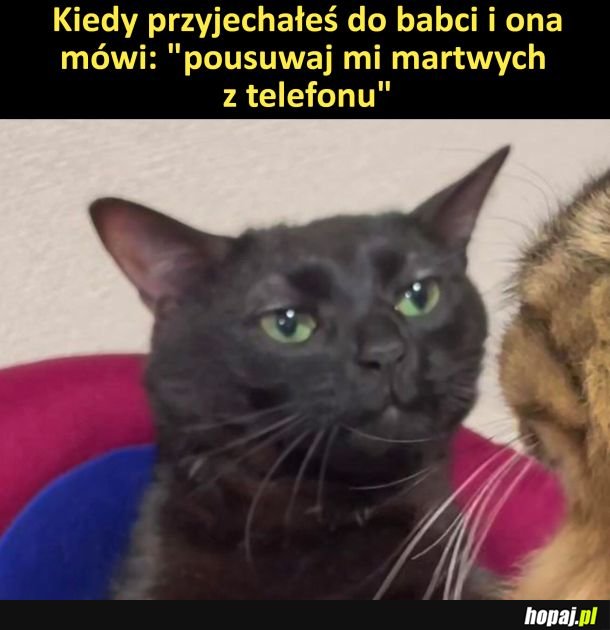 Babciowe zadanie do wykonania