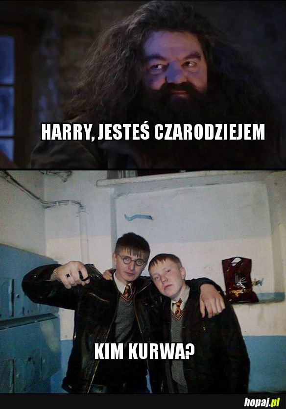 Harry Potter