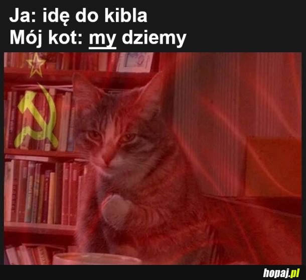 Razem zawsze i wszędzie