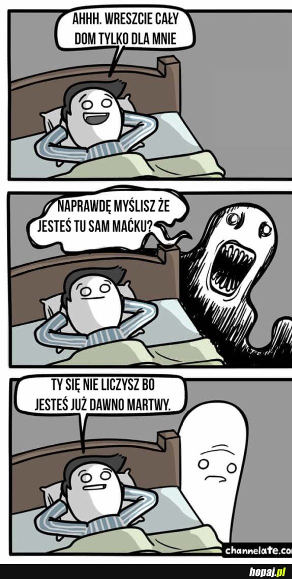 WRESZCIE SAM W DOMU