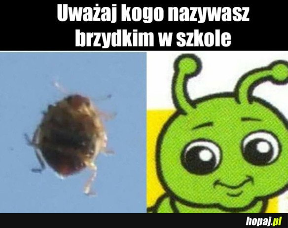 UWAŻAJ!