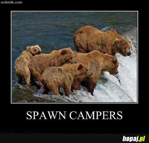 Camperzy