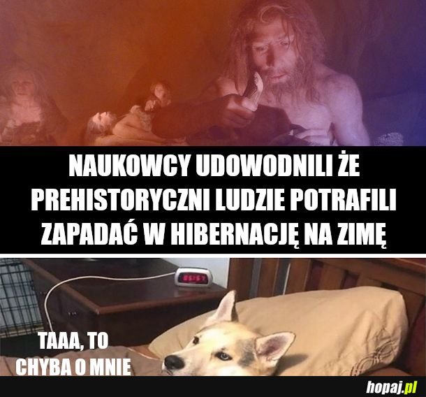 Jestem Mgbuugk i przesypiam całe życie