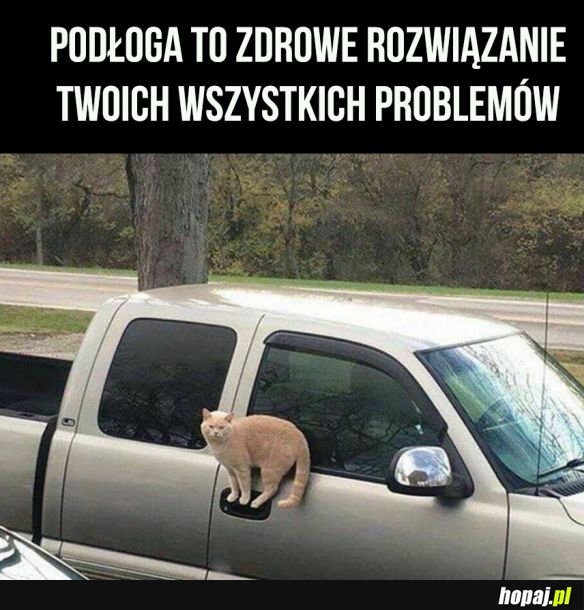 Podłoga