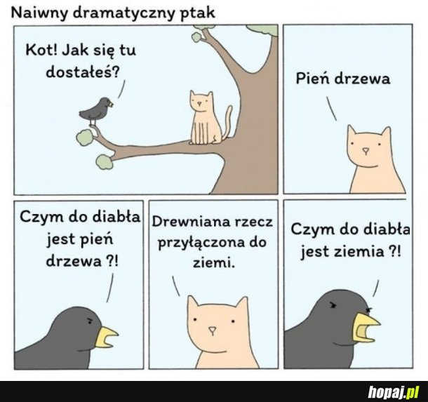 NAIWNY DRAMATYCZNY PTAK