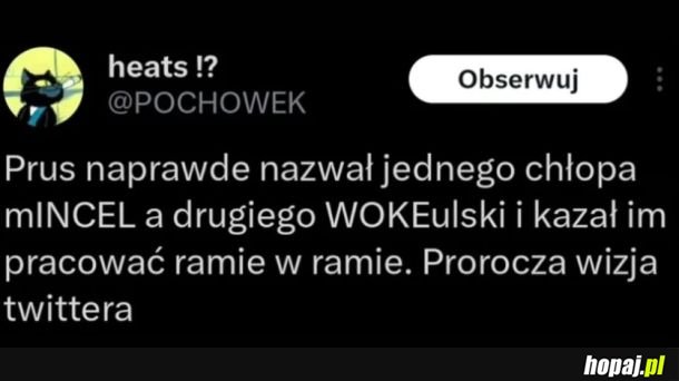 MINCEL i WOKEulski
