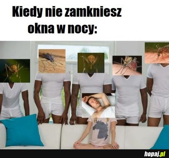 Kiedy zamkniesz okna w nocy