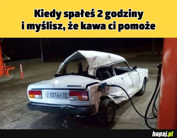 Nadzieja matką głupich