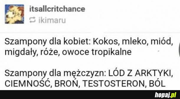 Jak tam wasz szampon?