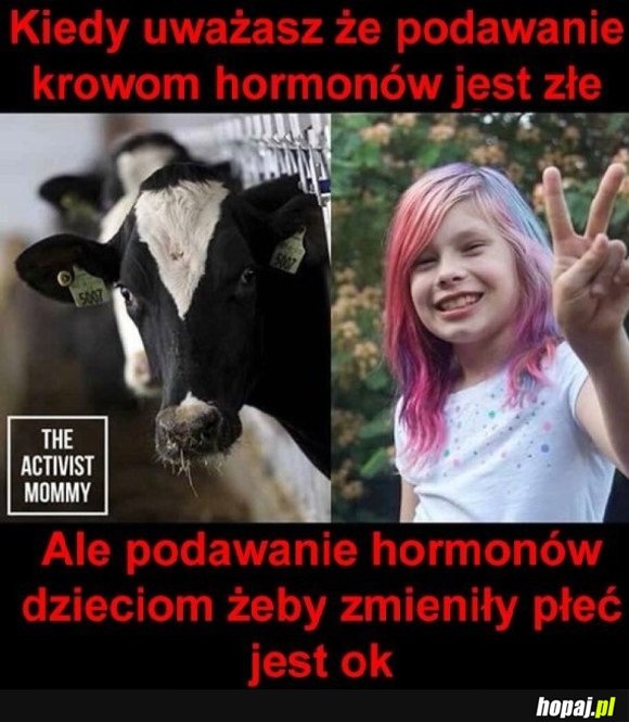 TO MA SENS