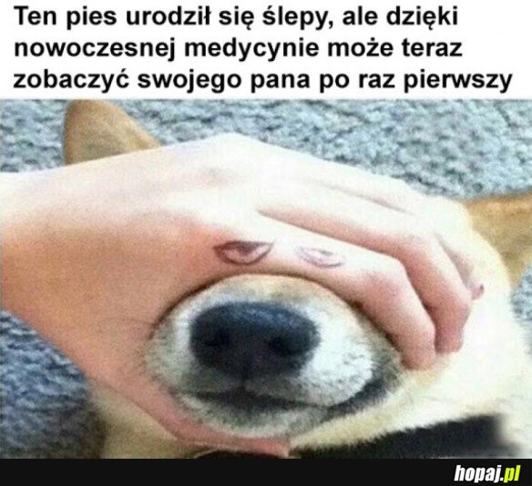 Nowoczesna medycyna