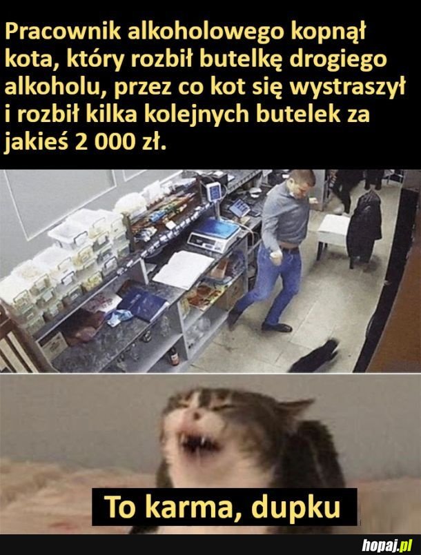 Karma