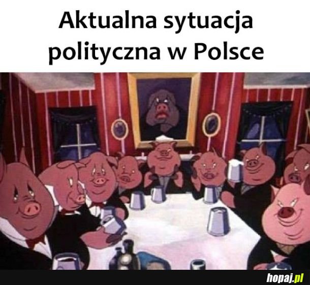 Sytuacja polityczna