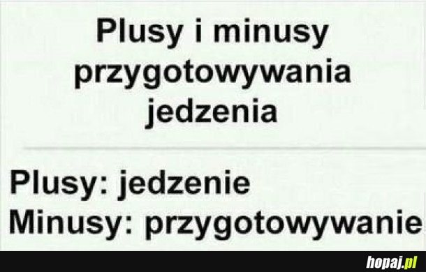 PLUSY I MINUSY
