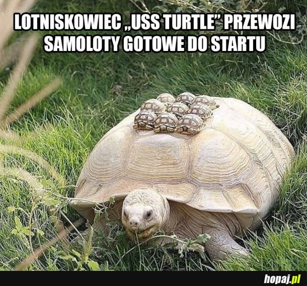 Lotniskowiec Turtle