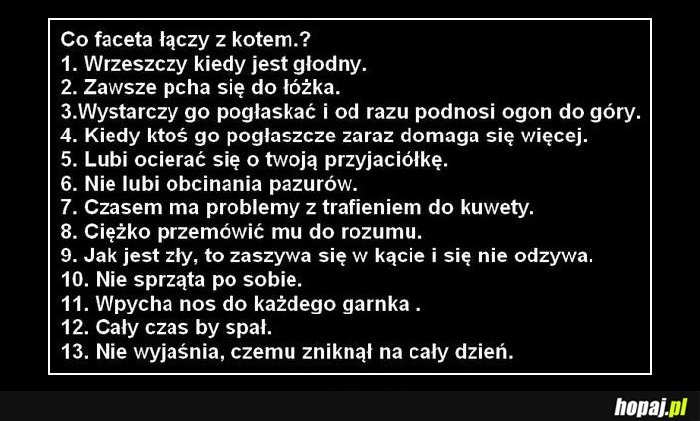 CO ICH ŁĄCZY?