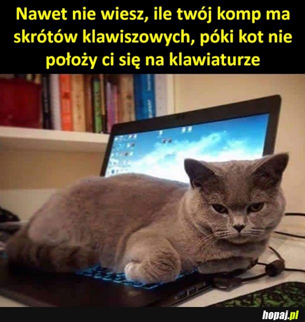 Koteł odkrywca