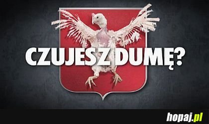 Czujesz dumę ?