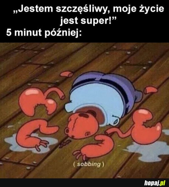 MOJE ŻYCIE