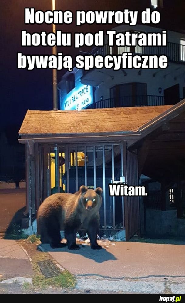 Tymczasem w Tatrach