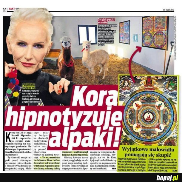 CO TA KORA