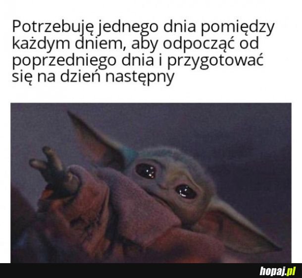 Proza życia