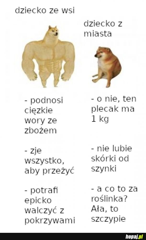Potwierdzone info