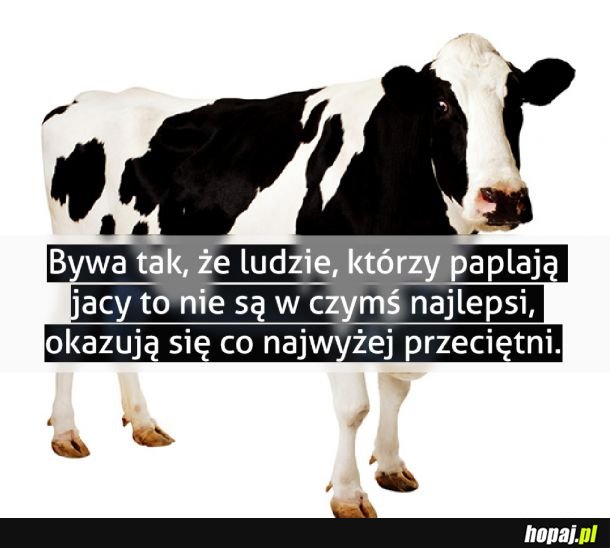 Bo krowa co dużo ryczy, mało mleka daje.