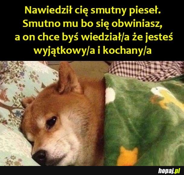 Smutny Pieseł