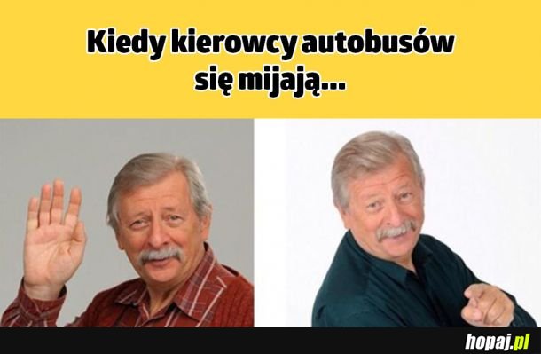 Kierowcy autobusów