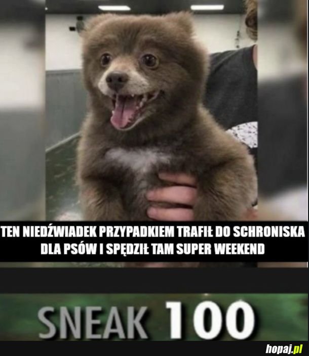 Słodziak