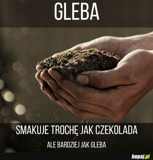 Gleba